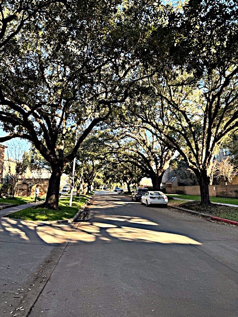 4243 Purdue Street, Unit C Houston, TX 77005 - Photo 44 of 50 Located in the heart of the Inside the Loop District