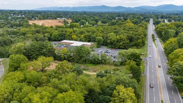 a view of a plant in a garden