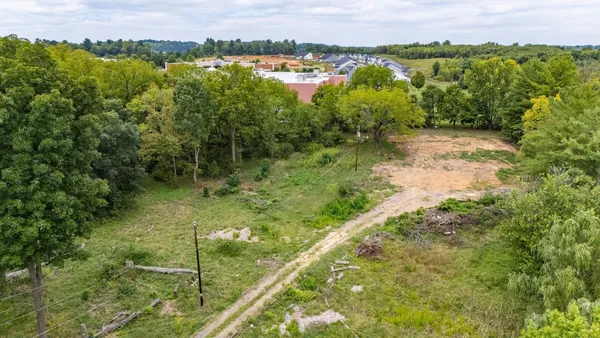 a view of a garden with large trees