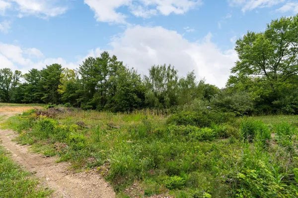 a view of outdoor space and yard