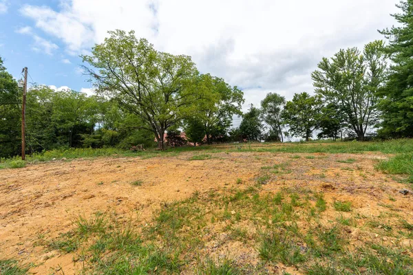 a view of a field with trees in the background