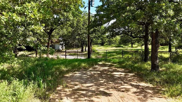 a view of a park with large trees