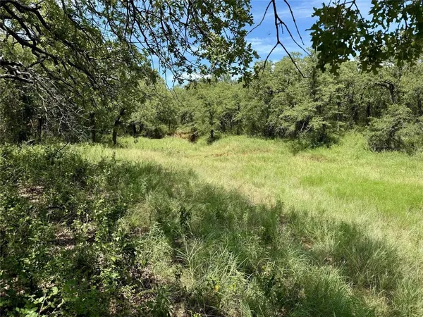 a view of a lush green space