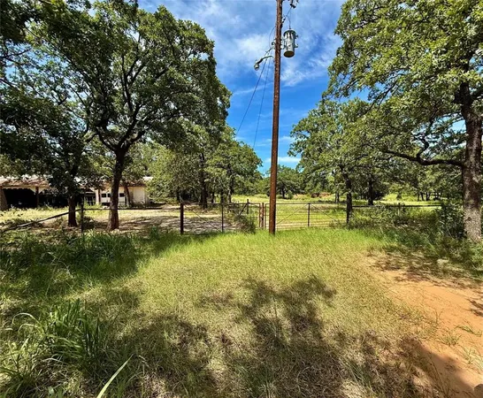 a view of a park with large trees