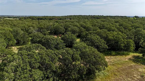 a view of a green field with lots of bushes