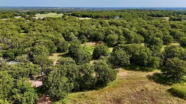 a view of a forest with a yard