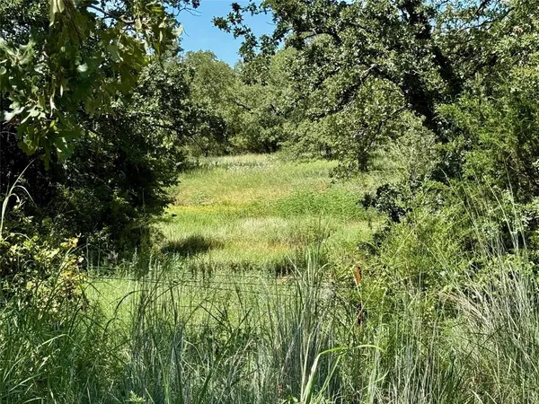 a view of a lush green space
