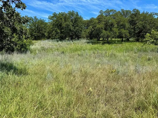 a view of a green field with lots of bushes