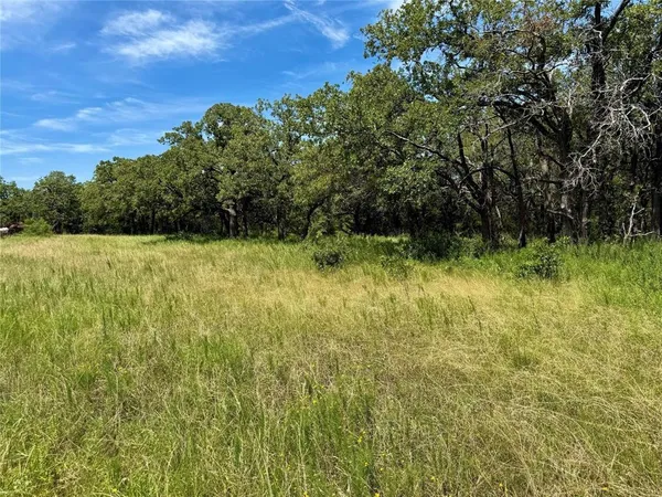 a view of yard with green space