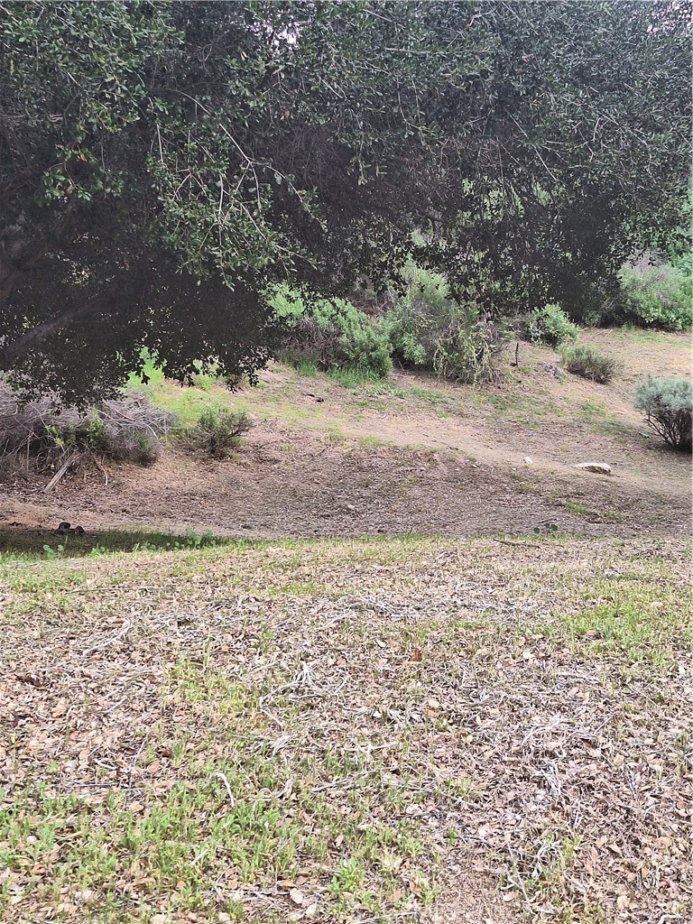 a view of a yard with a tree