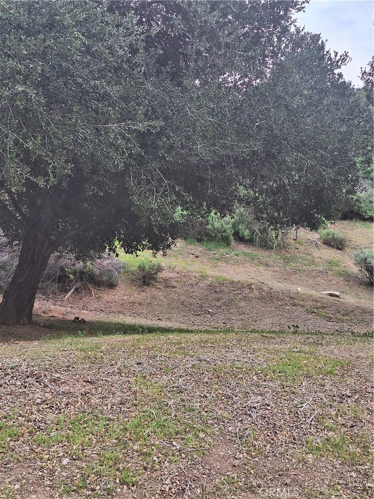 0 Verdale Val Verde, CA 91384 - Photo 2 of 3 a view of a yard with an trees