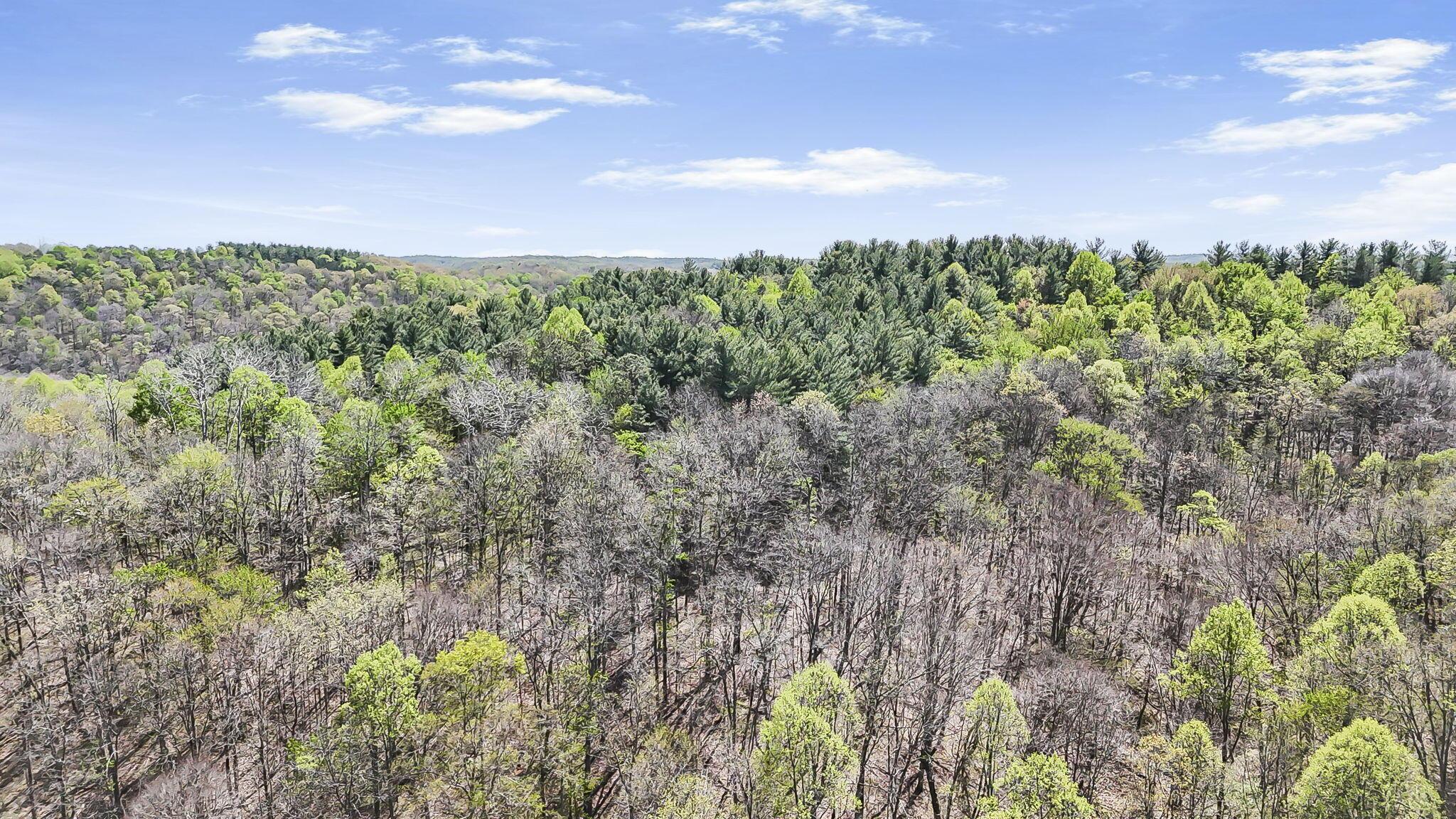 30083 Goosecreek Road McArthur, OH 45651 - Photo 15 of 29 15-web-or-mls-DJI_20260422013522_0058_D