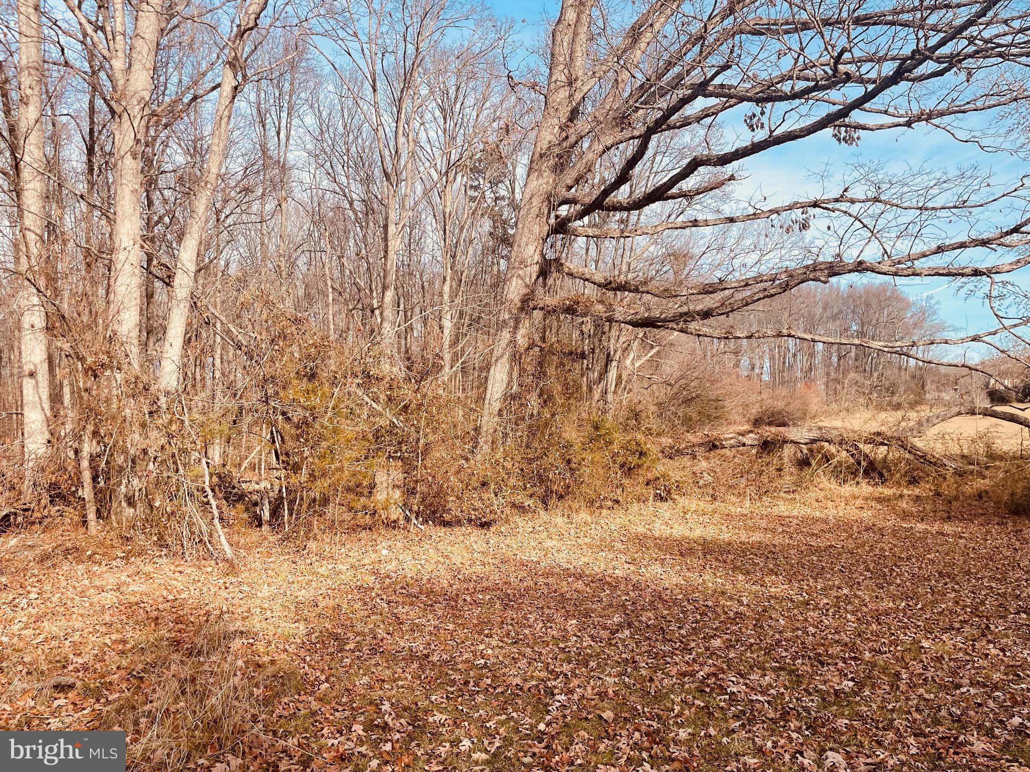 Kennon Road Mineral, VA 23117 - Photo 3 of 11