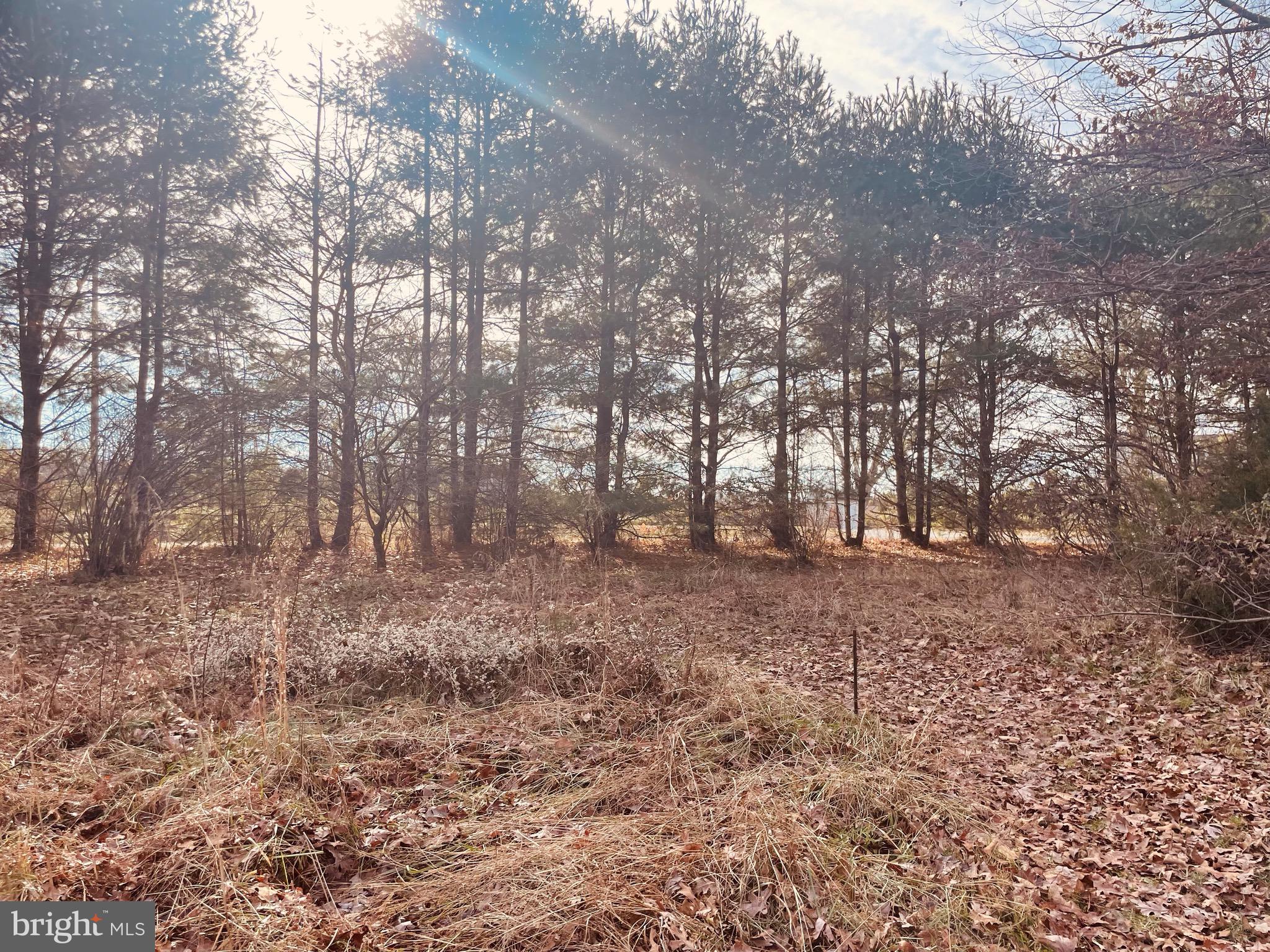 Kennon Road Mineral, VA 23117 - Photo 5 of 11