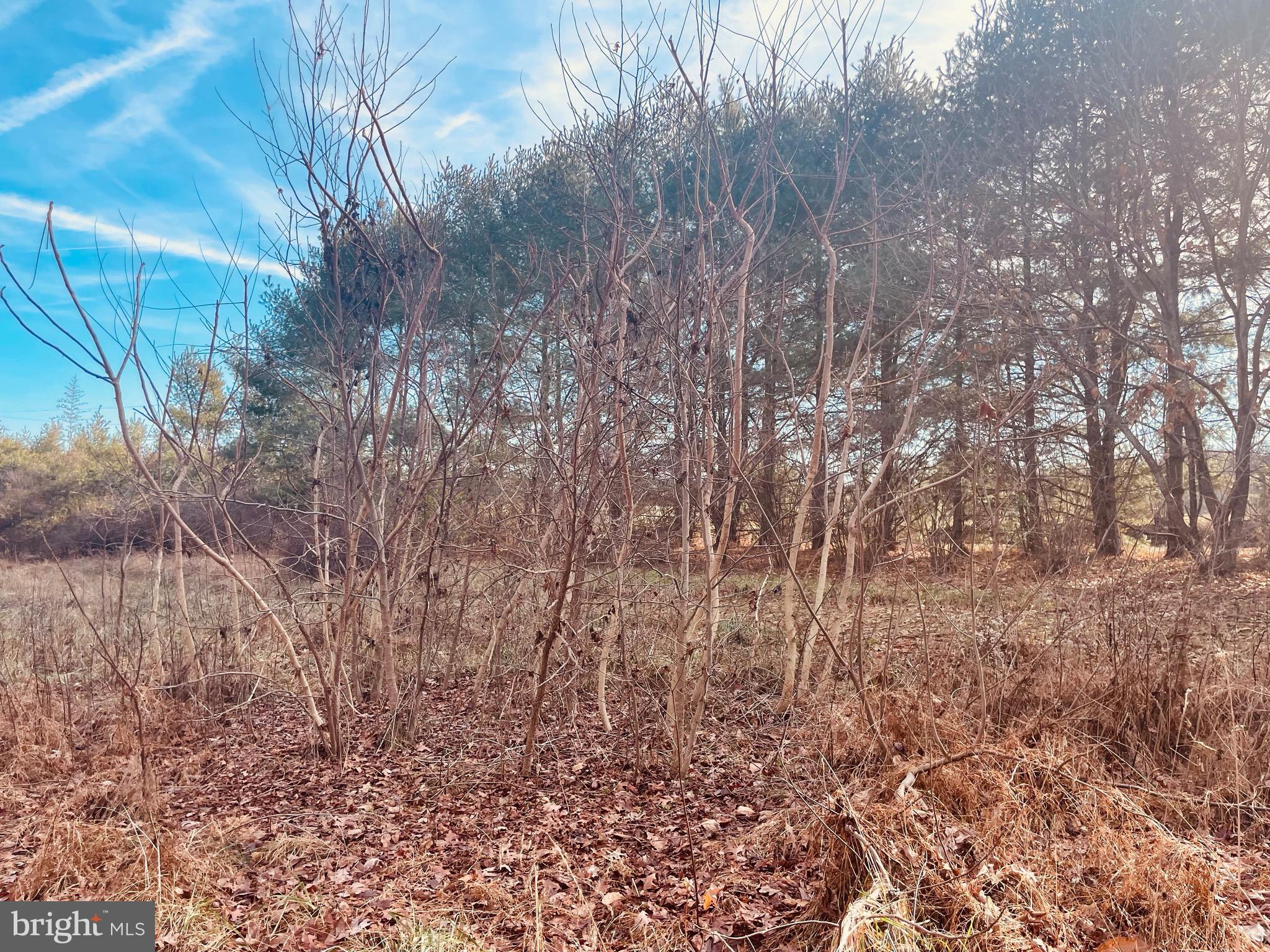 Kennon Road Mineral, VA 23117 - Photo 6 of 11