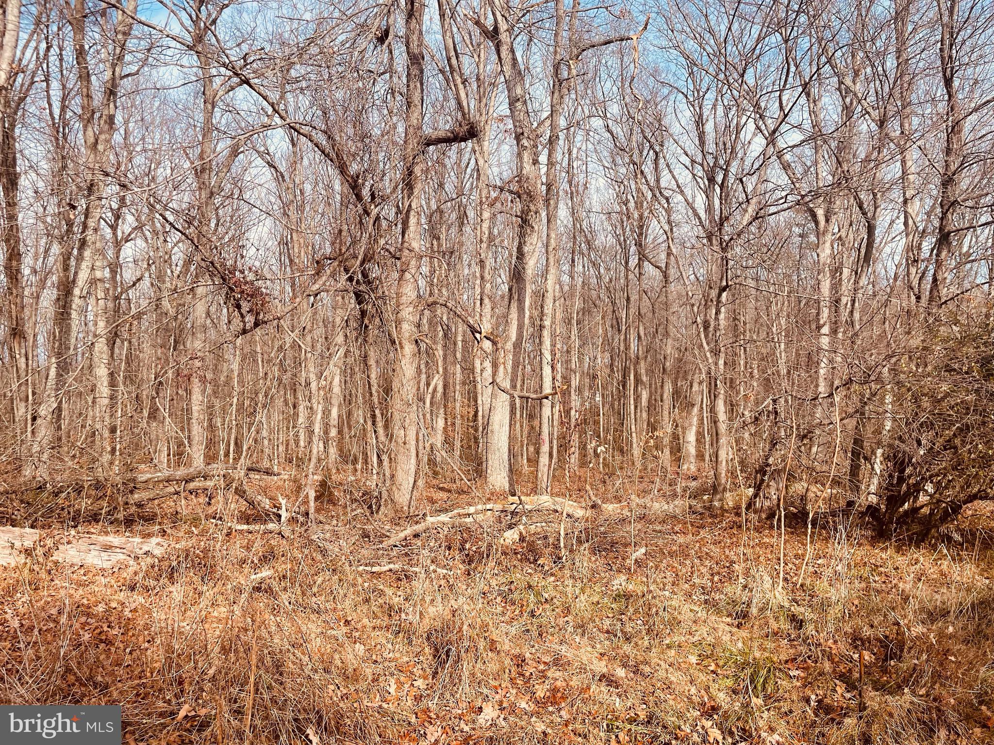 Kennon Road Mineral, VA 23117 - Photo 7 of 11