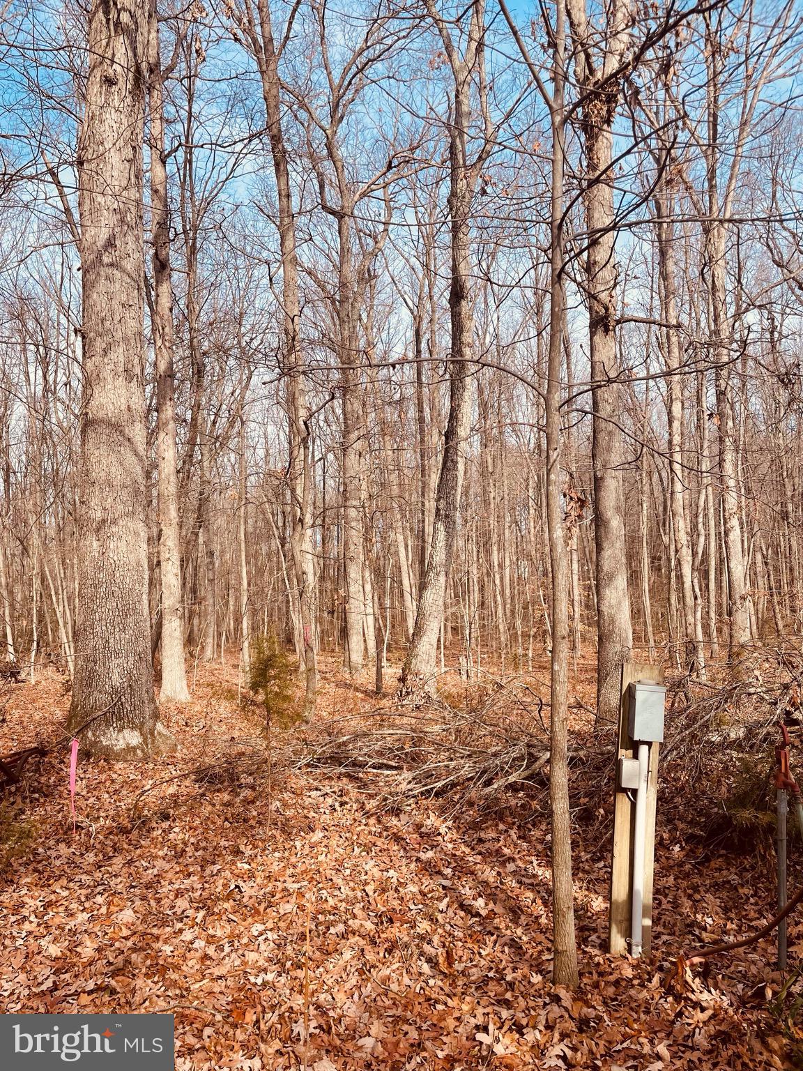 Kennon Road Mineral, VA 23117 - Photo 8 of 11