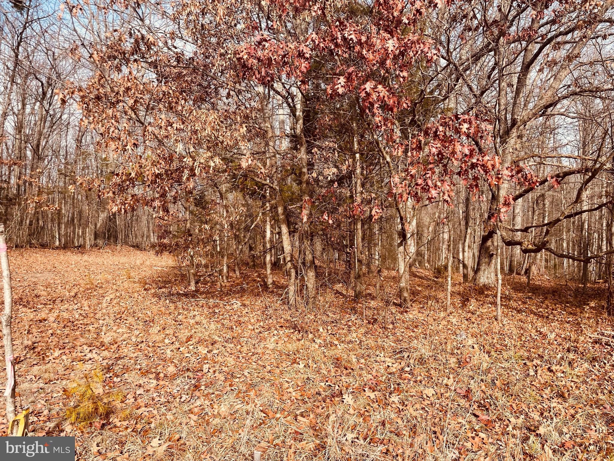 Kennon Road Mineral, VA 23117 - Photo 9 of 11