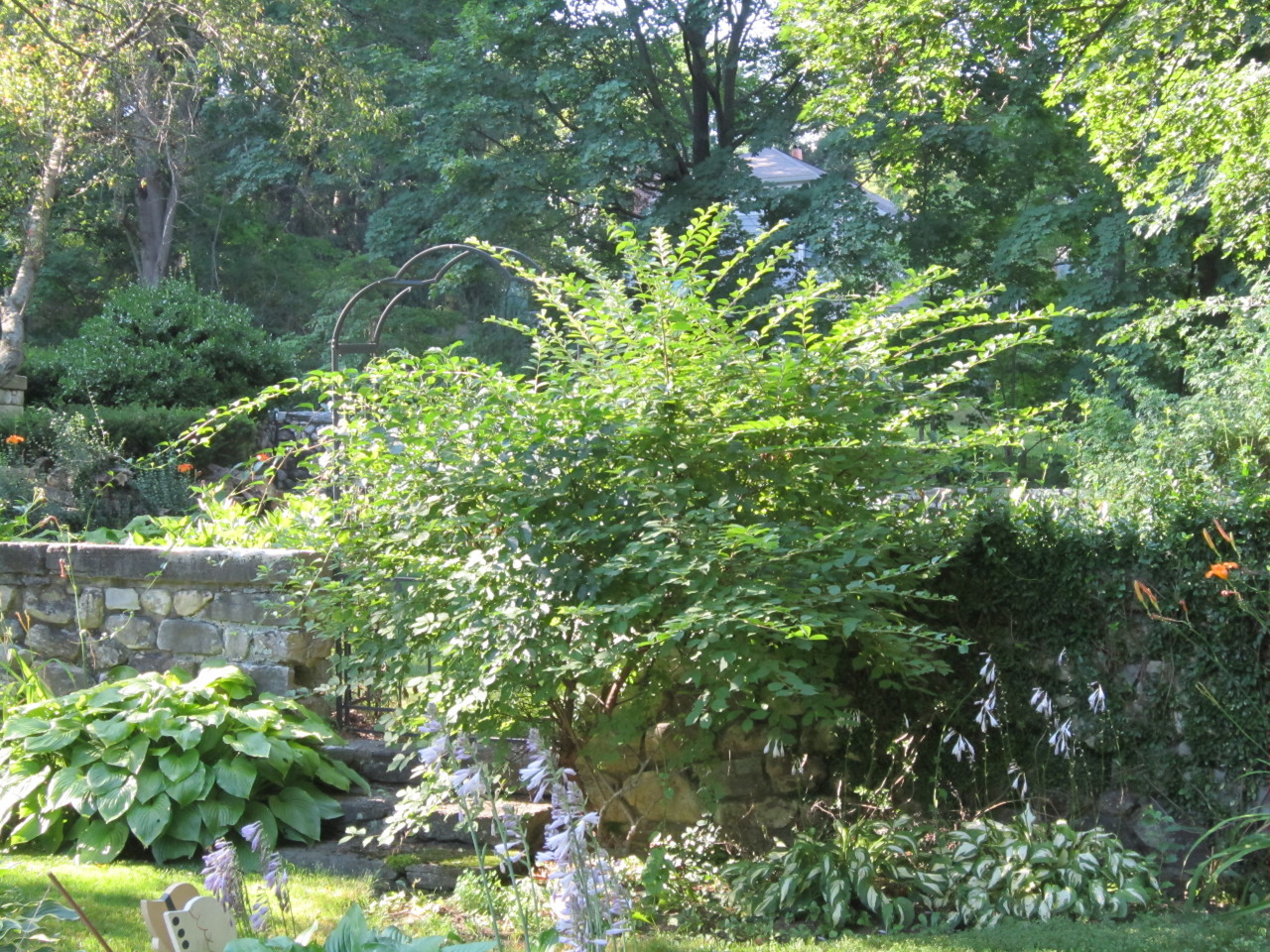 101 Colt Road Pittsfield, MA 01201 - Photo 5 of 36 More Hidden Gardens