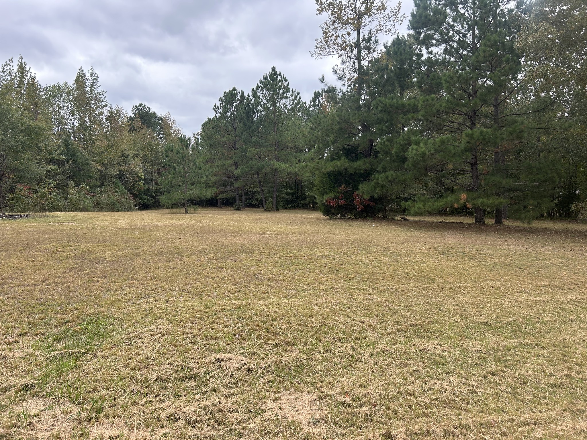 0 Mt Carmel Road Camden, TN 38320 - Photo 1 of 3 Gallery Image 1