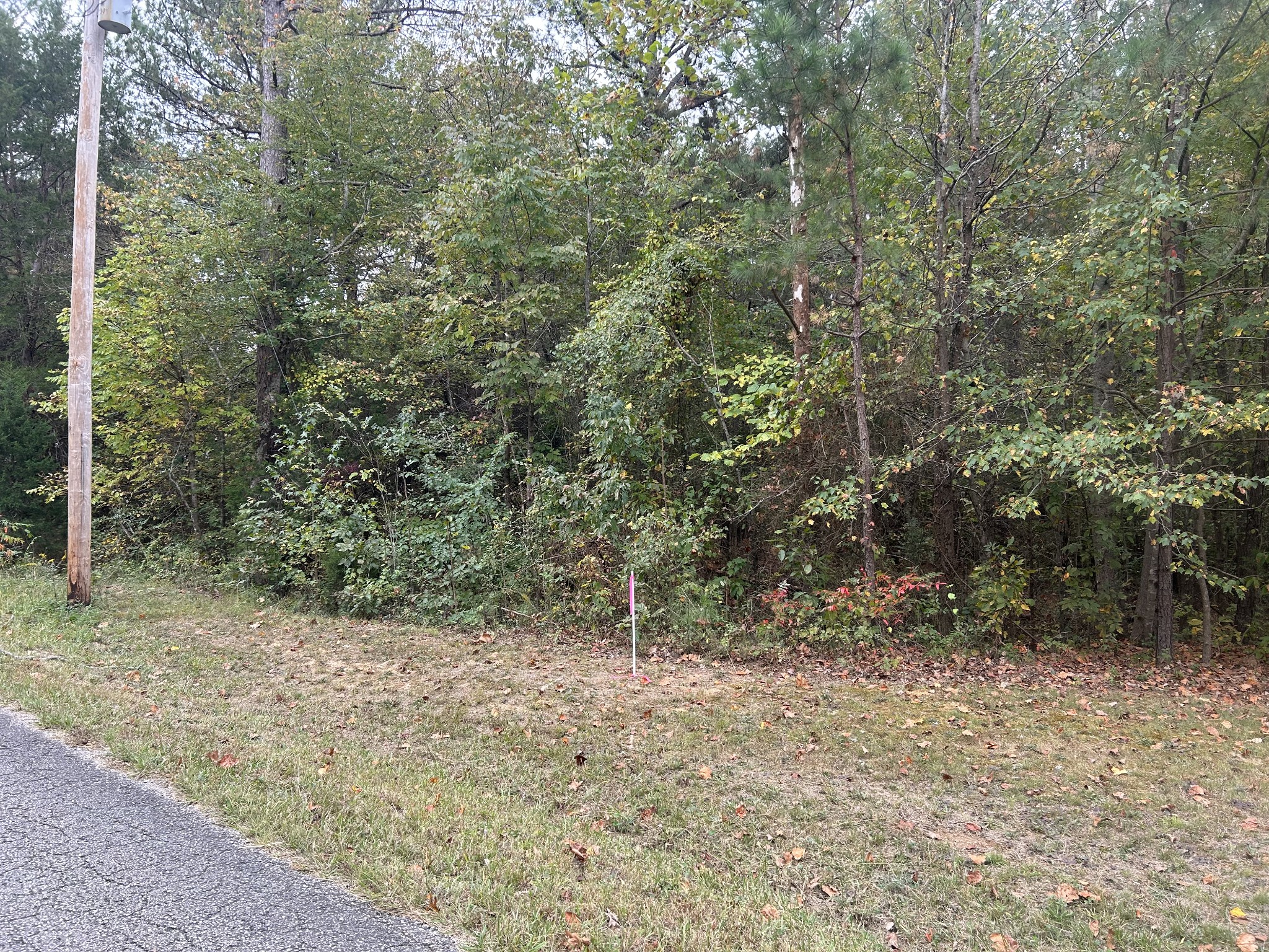 0 Mt Carmel Road Camden, TN 38320 - Photo 3 of 3 Gallery Image 3