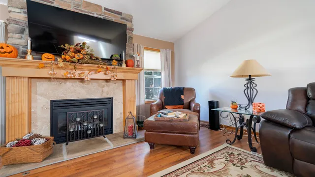 a living room with furniture and a fireplace
