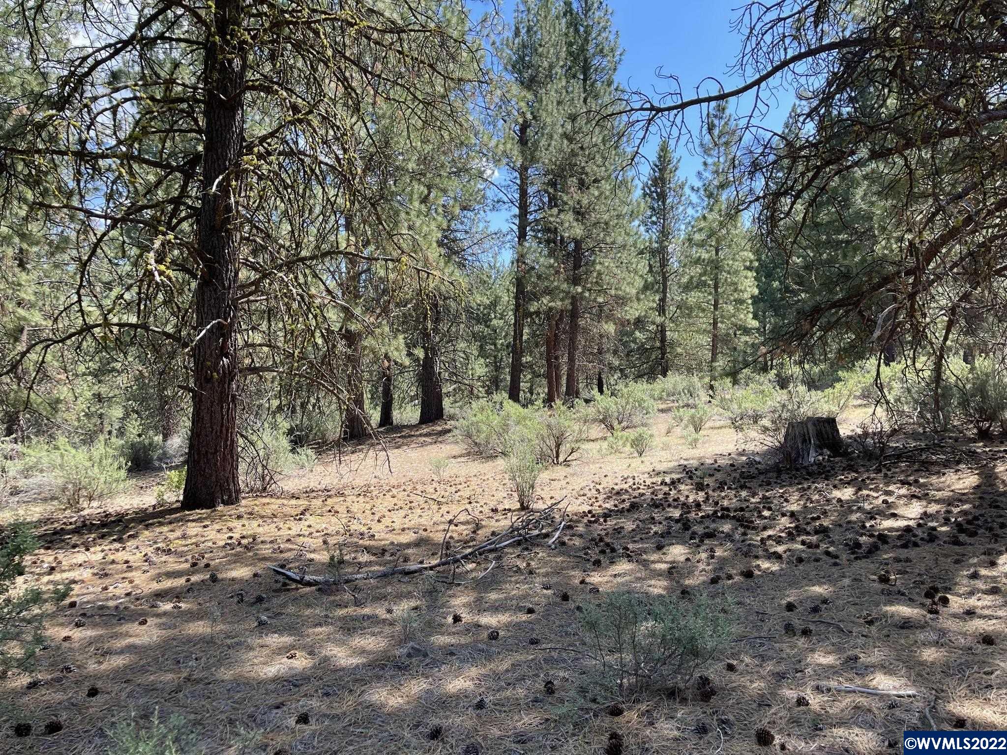 Lot 8 South Waterview Way Chiloquin, OR 97624 - Photo 1 of 10