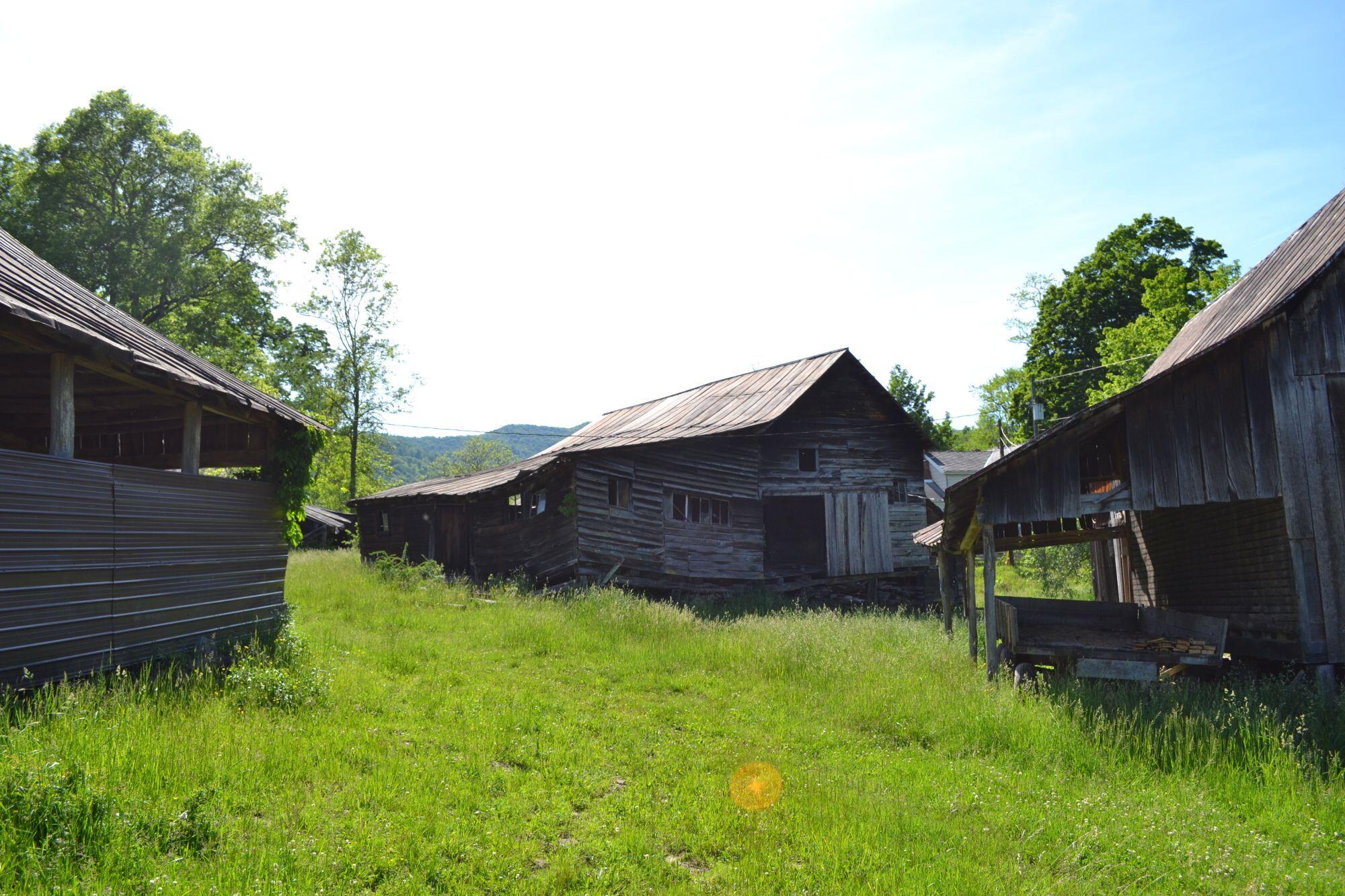 275 Old US 219 Road Buckeye, WV 24924 - Photo 52 of 72 Gallery Image 52