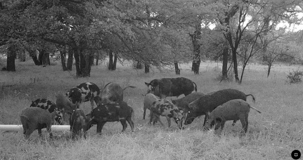 Tbd Coalville Road Gordon, TX 76453 - Photo 25 of 27 Gallery Image 25