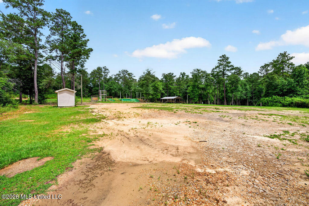 94 Desoto Road McHenry, MS 39561 - Photo 14 of 37 94DesotoRd.S-14