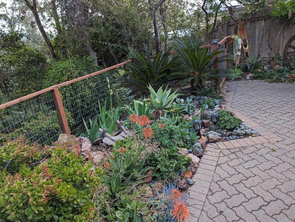 10309 Challenge Boulevard La Mesa, CA 91941 - Photo 34 of 51 a view of a backyard with plants