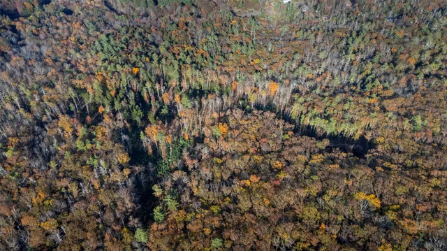 a view of outdoor space and trees