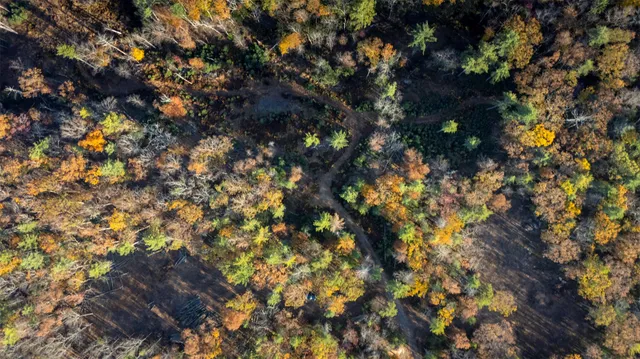 a view of outdoor space