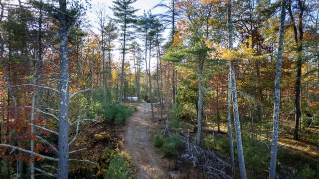 a view of a lush green hillside and a building
