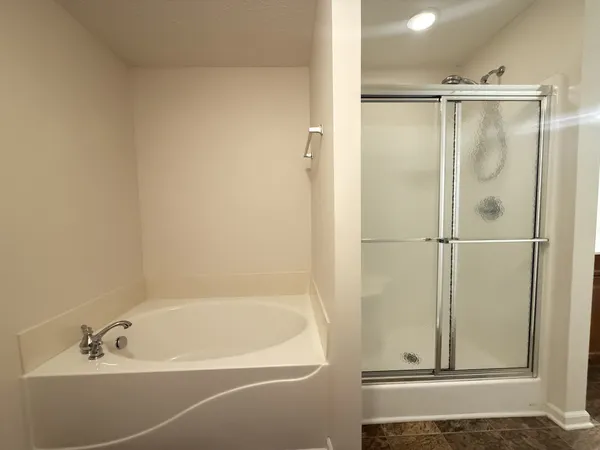 a bathroom with a bathtub and a shower
