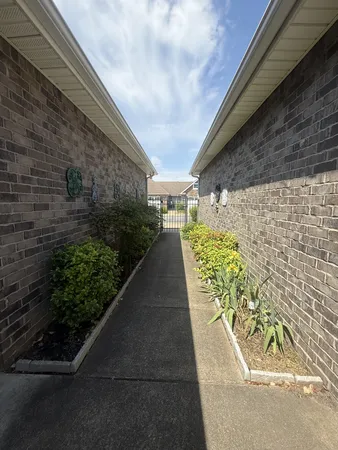 a view of a garden