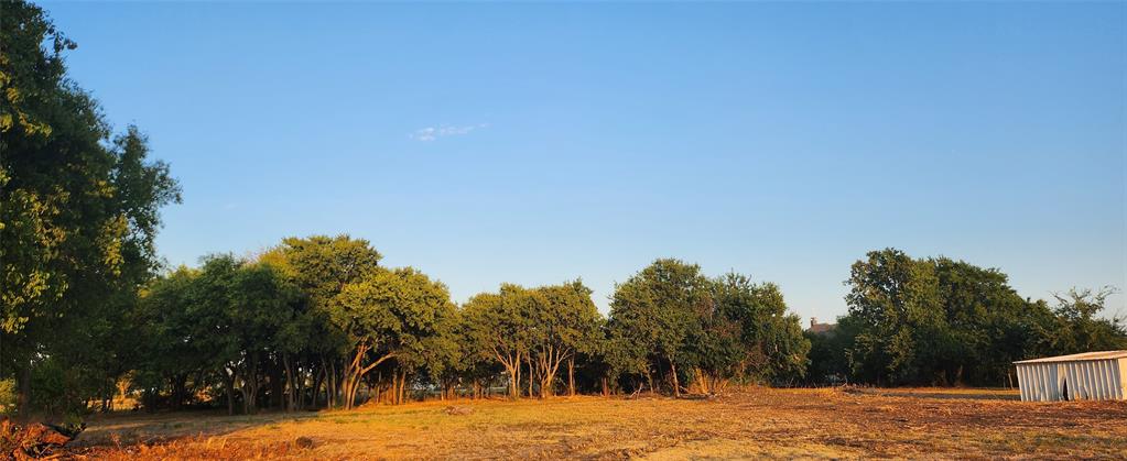 592 Pike Road Gunter, TX 75058 - Photo 12 of 40 View of nature