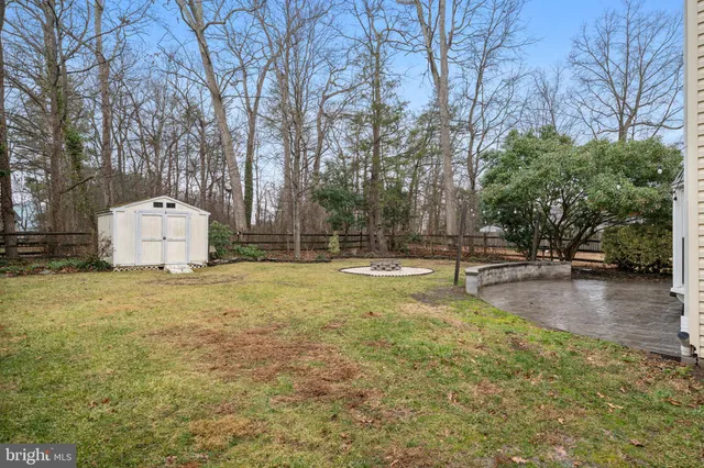 a view of a backyard with large trees