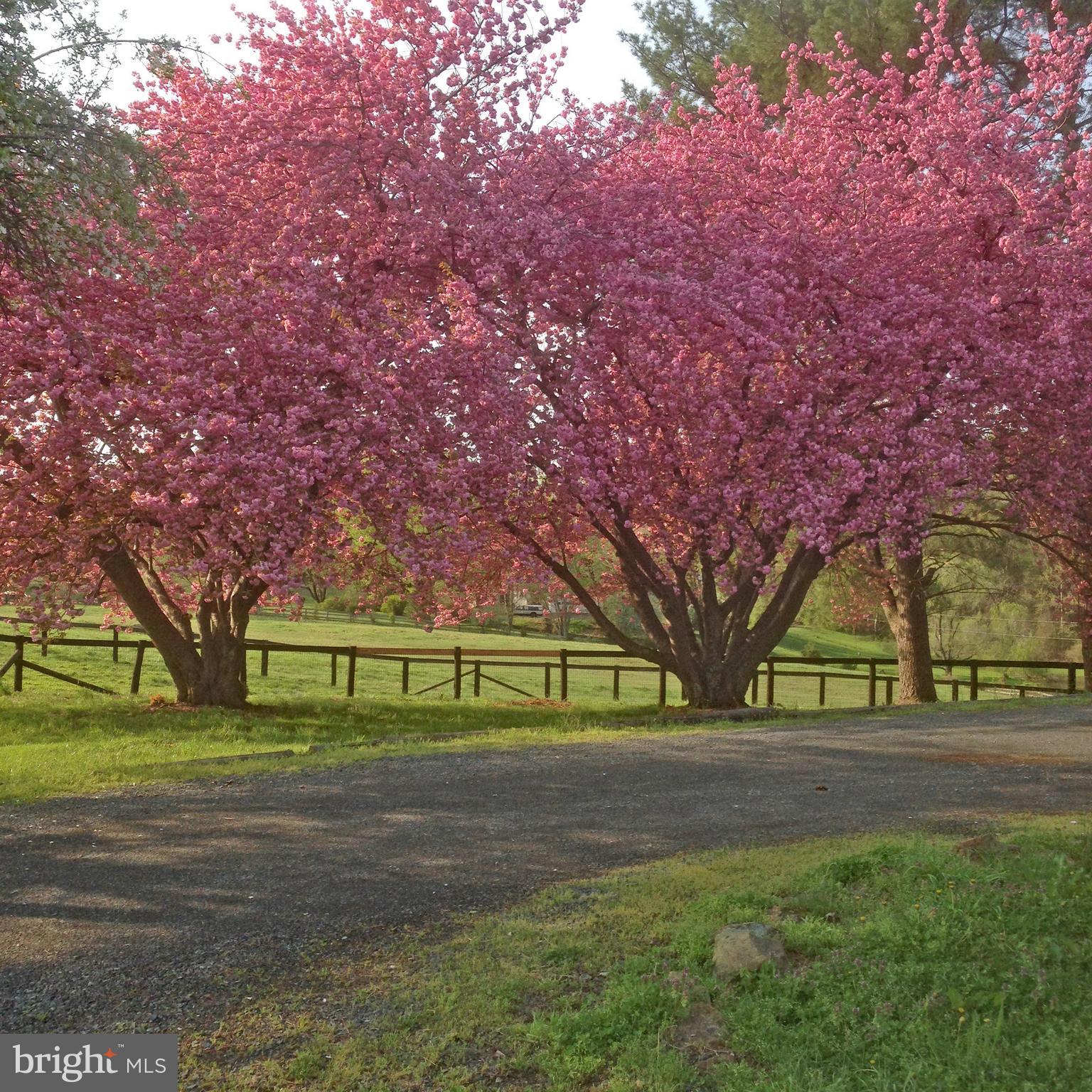 7434 Wilson Road Warrenton, VA 20186 - Photo 42 of 58 Gallery Image 42