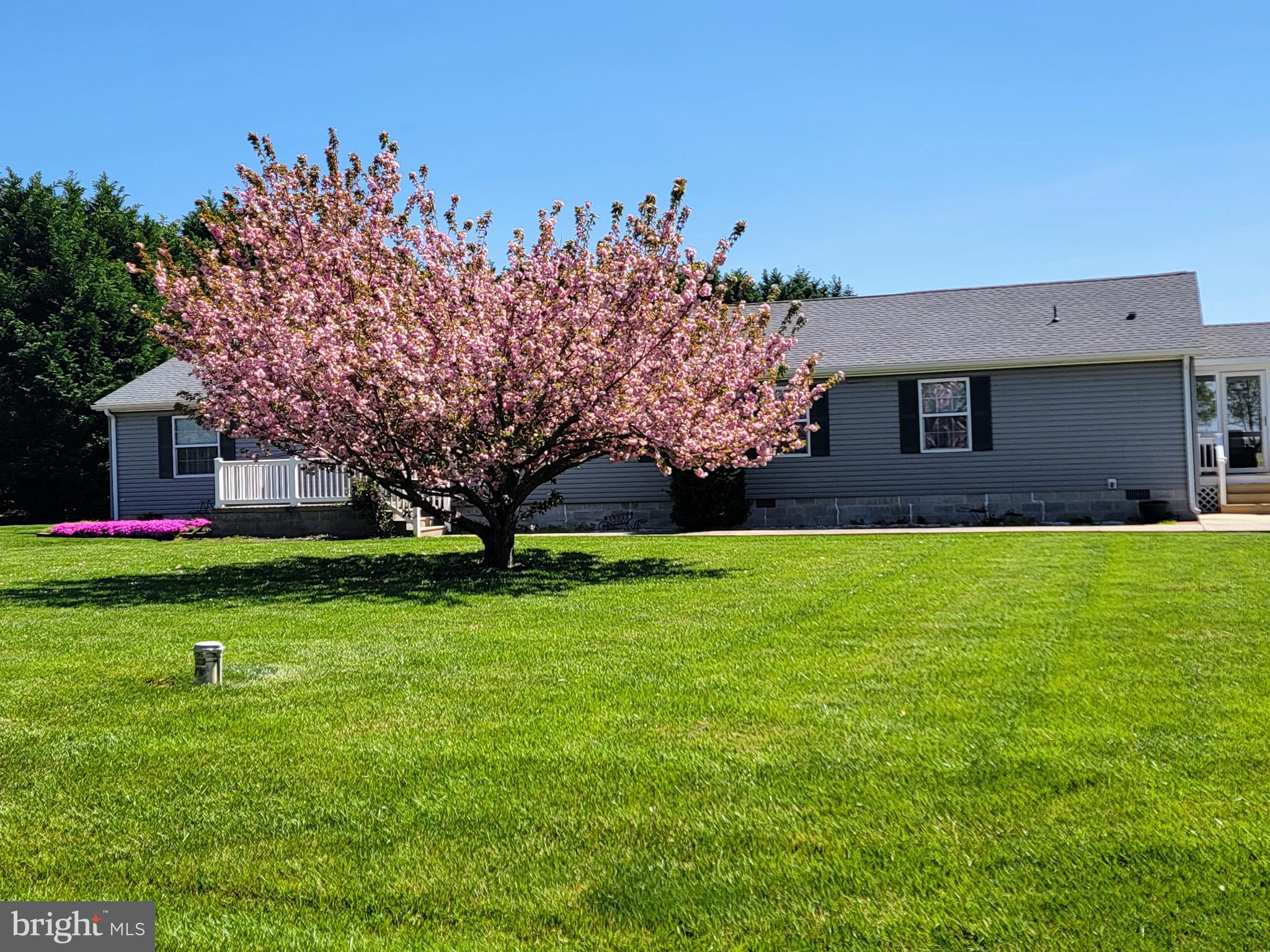 6567 Cabin Ridge Road Hurlock, MD 21643 - Photo 1 of 10 Gallery Image 1