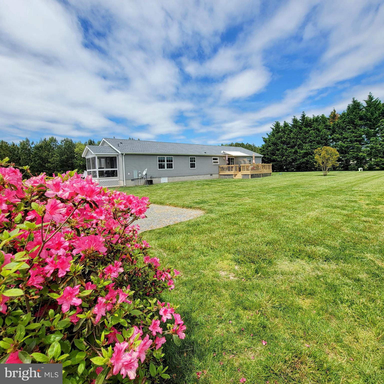 6567 Cabin Ridge Road Hurlock, MD 21643 - Photo 6 of 10 Backyard