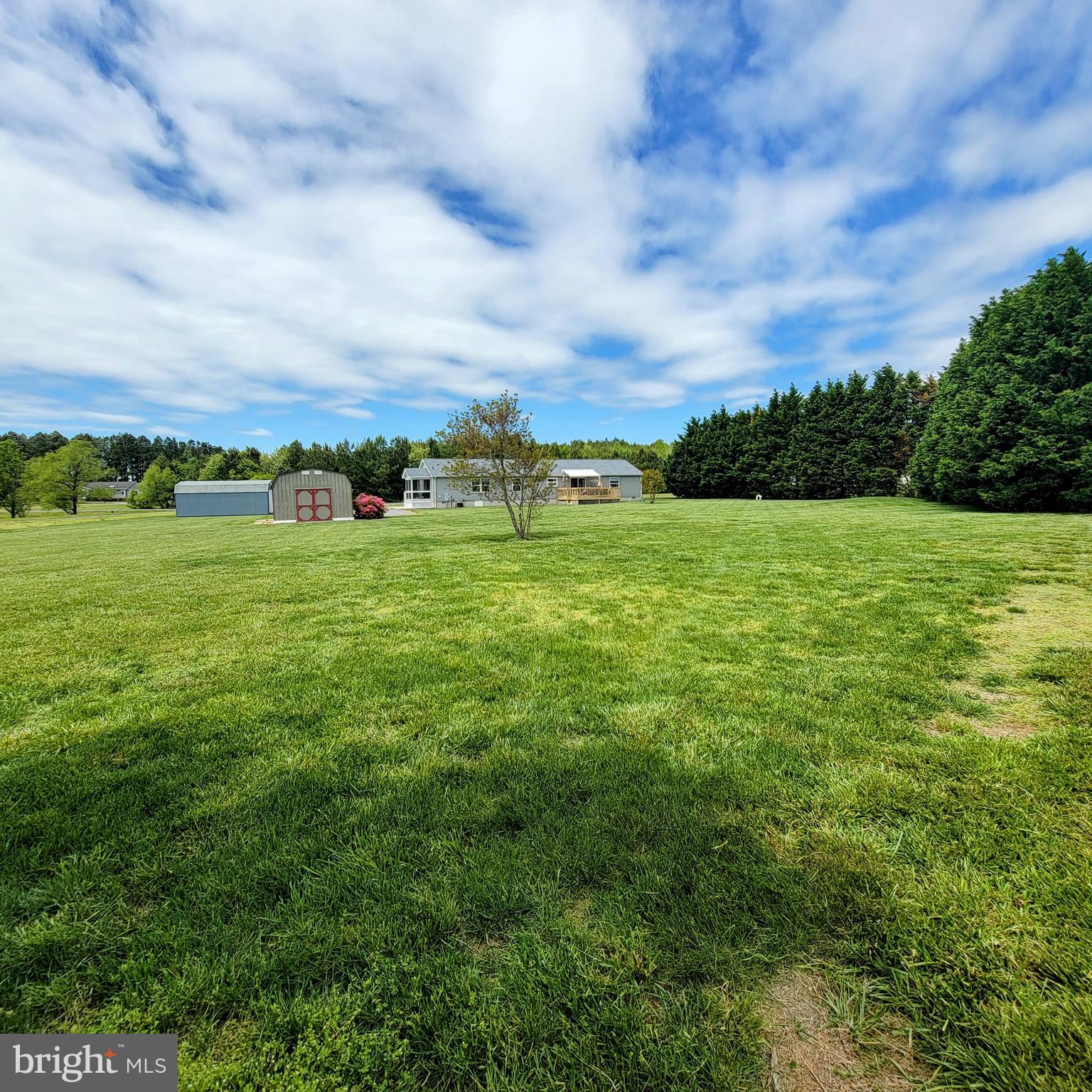 6567 Cabin Ridge Road Hurlock, MD 21643 - Photo 7 of 10 Large backyard