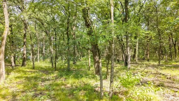 $150,000 | 0 Pr 206, Bonham, TX 75418
