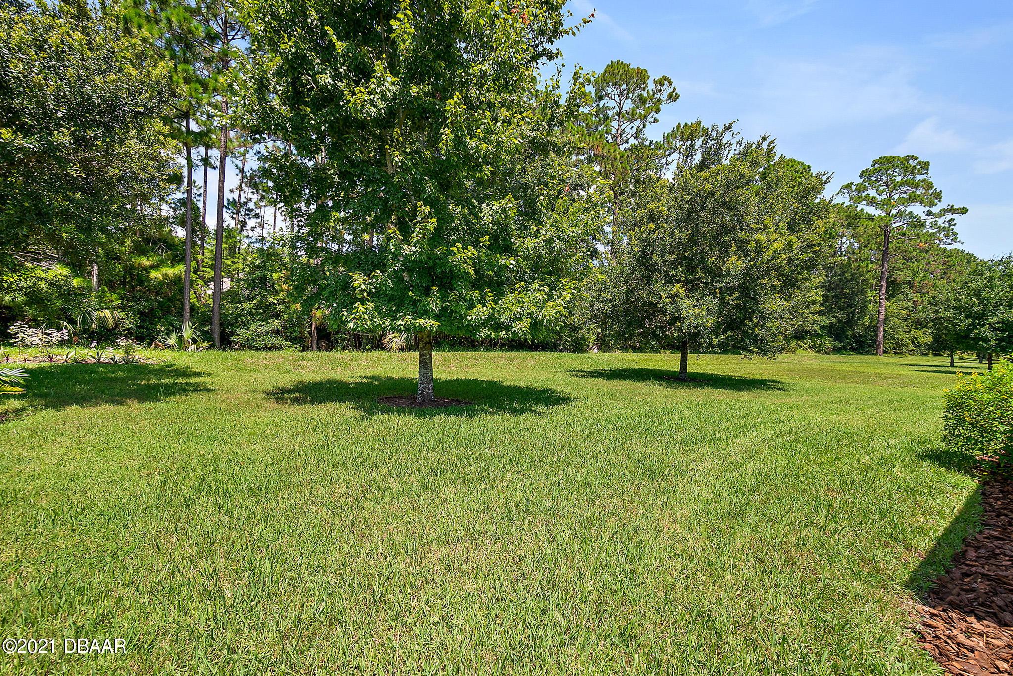 667 Elk River Drive Ormond Beach, FL 32174 - Photo 35 of 49 a view of a tree in a park