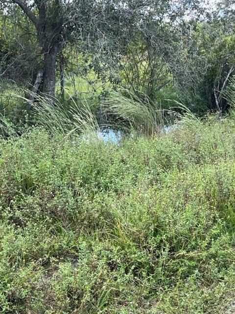 Southeast Tomlin Drive, Unit 3 Arcadia, FL 34266 - Photo 3 of 4