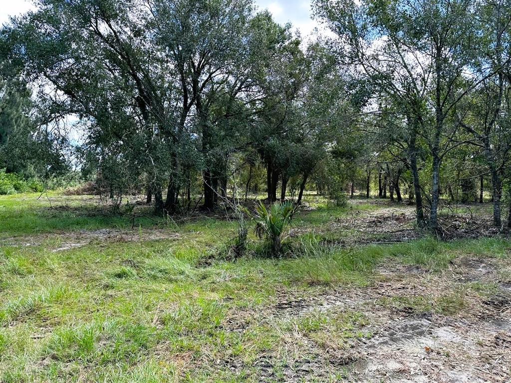 Southeast Tomlin Drive, Unit 3 Arcadia, FL 34266 - Photo 4 of 4