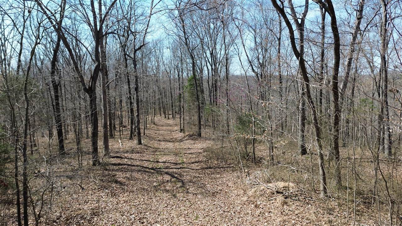 20 A Riverside Benleo Road Bowling Green, KY 42101 - Photo 10 of 26 Gallery Image 10