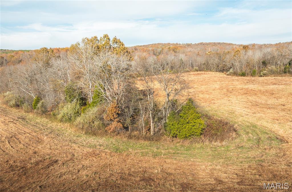 31 Sparks Hill Road Elizabethtown, IL 62931 - Photo 23 of 28