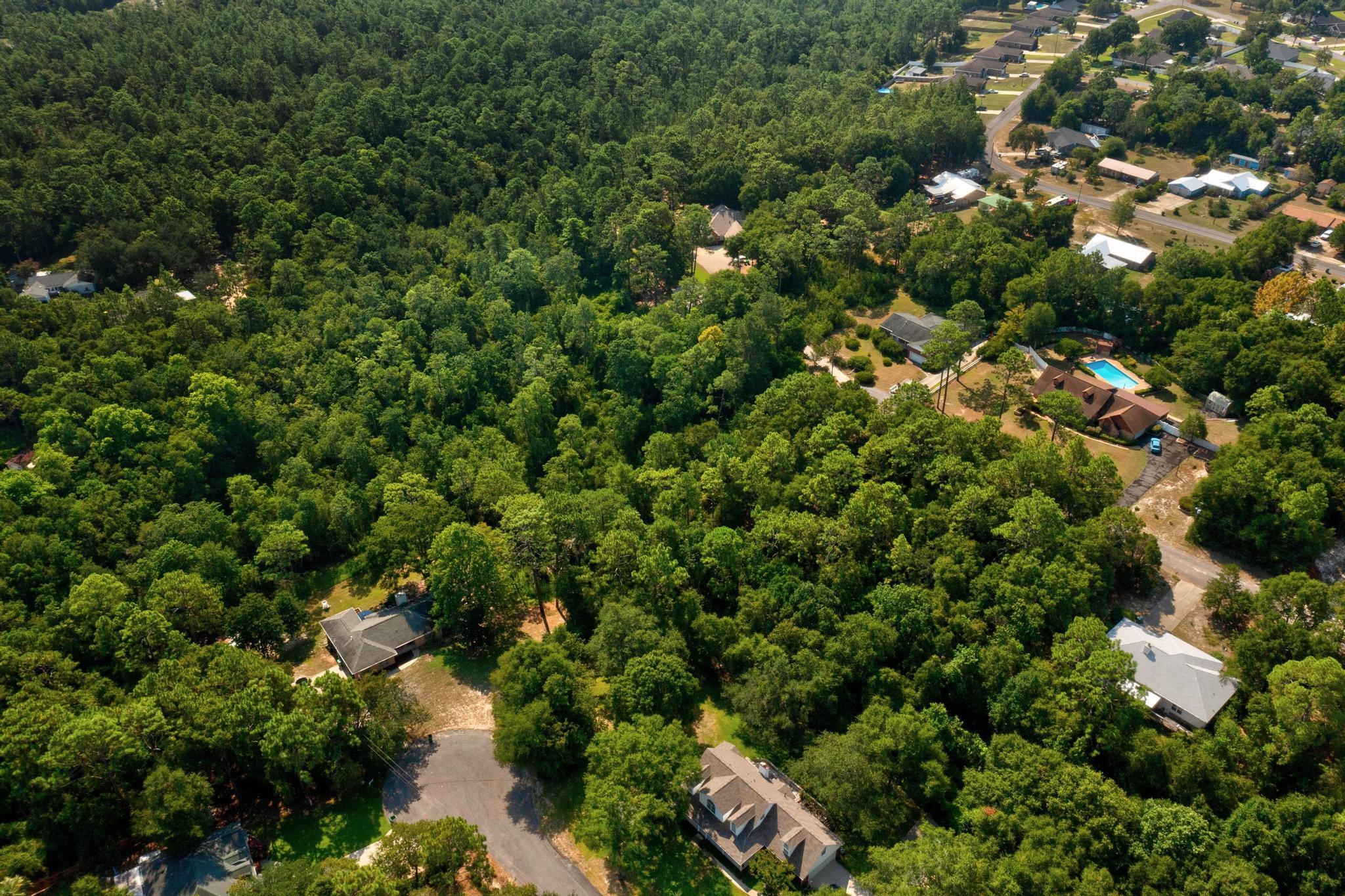 Tbd Wheeler Place Crestview, FL 32539 - Photo 11 of 15 view of a house with a lush green forest