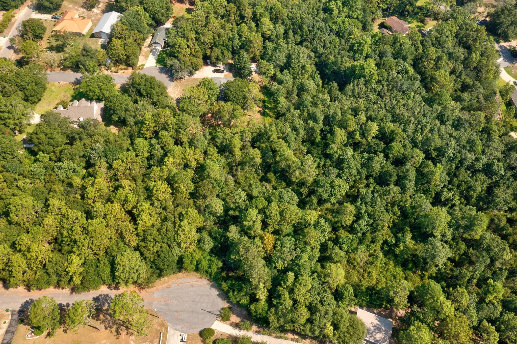 Tbd Wheeler Place Crestview, FL 32539 - Photo 2 of 15 a view of a bunch of trees and bushes